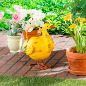 Duck Watering Can B, 64 oz