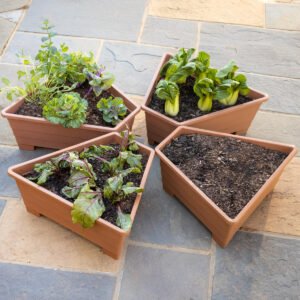 Raised Modular Conversion Planters, Set of 4