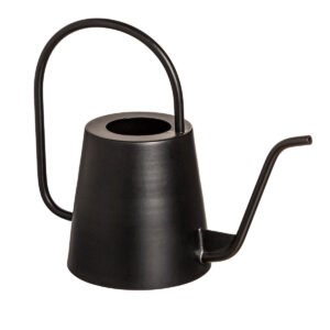Metal Watering Can, Black