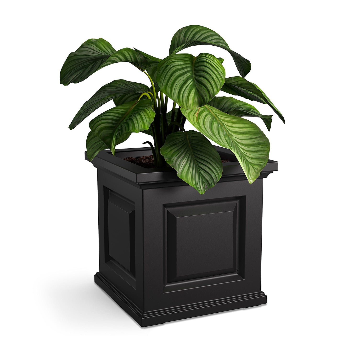 Chadwick Self-Watering Planter, 16" sq. - Image 6