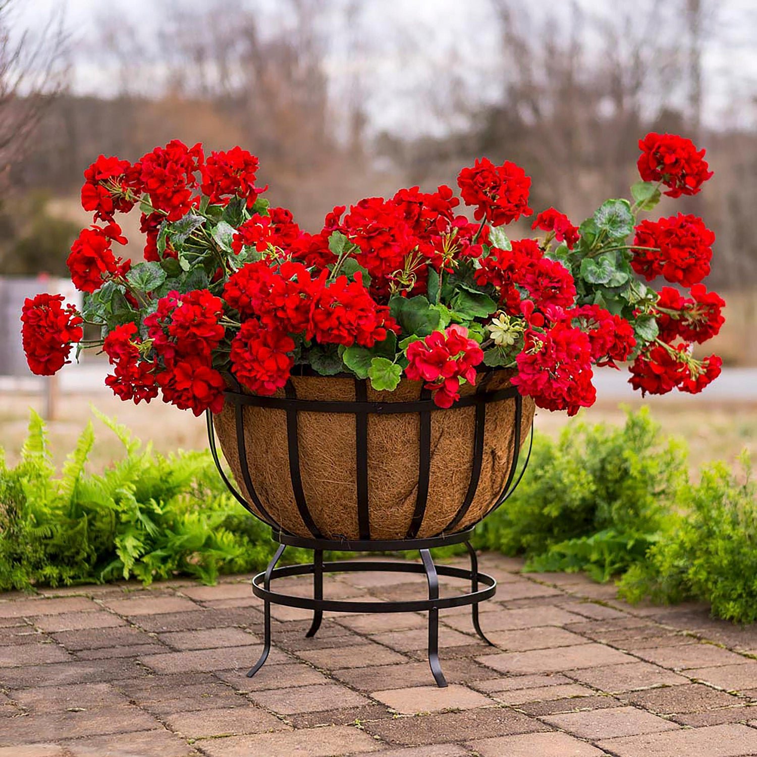 Footed Metal Basket Planter with Coco Liner - Image 2