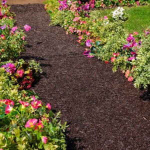 6" Permanent Mulch Recycled Rubber Pathway